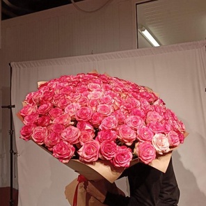 151 Роза Джулия